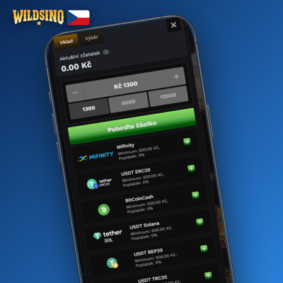 Bankovní převod a voucher Paysafecard jako metody vkladu na Wildsino