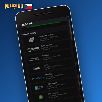 Bankovní převod pro výběr vyšších částek z kasina Wildsino