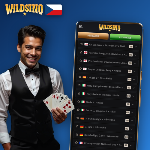 Wildsino kasino uvítací bonus 250 % a 300 free spinů na jednom místě