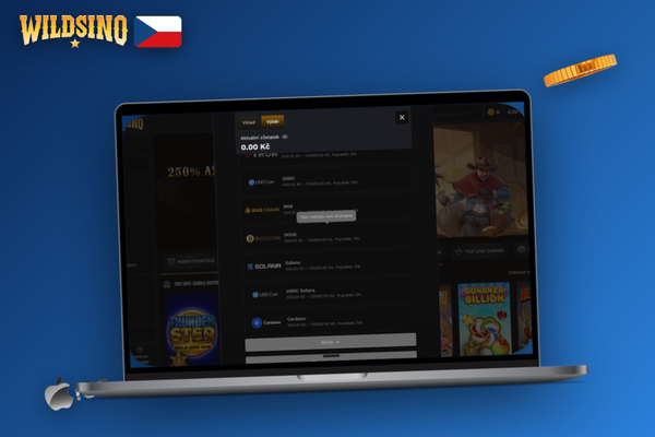 KYC ověření totožnosti nahráním dokladu přes telefon ve Wildsino