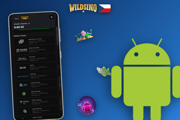 Mobilní rozhraní pokladny Wildsino s formulářem pro výběr výher