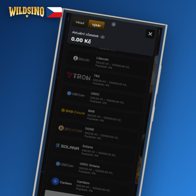 Paysafecard a CashtoCode jako alternativa výběru bez bankovního účtu ve Wildsino