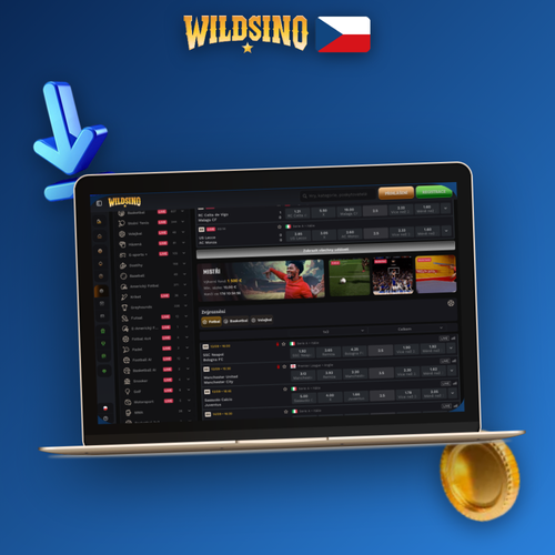 Wildsino pro PC – desktopový klient zobrazený ve vlastním okně na monitoru