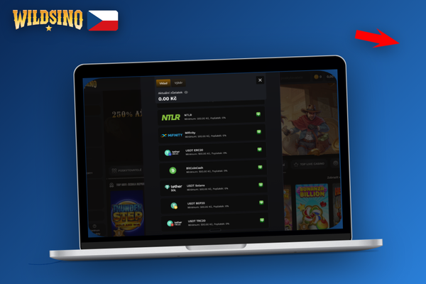 Jak vložit peníze na Wildsino přes pokladnu na desktopu krok za krokem