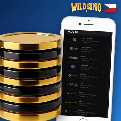 Wildsino výběr peněz – mince a bankovky proudící do digitální peněženky